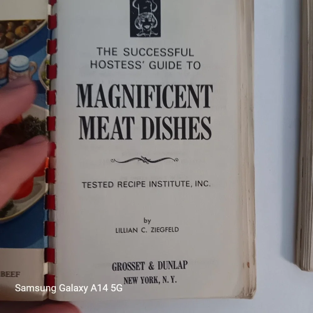TESTED RECIPE Institute Cookbook Lot 2 Vintage 1968 Italian Meat Dishes